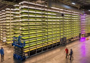 AeroFarms CEO and CFO Discuss New St. Louis Facility, Nokia Bell Labs Deal, SPAC Merger – Replay