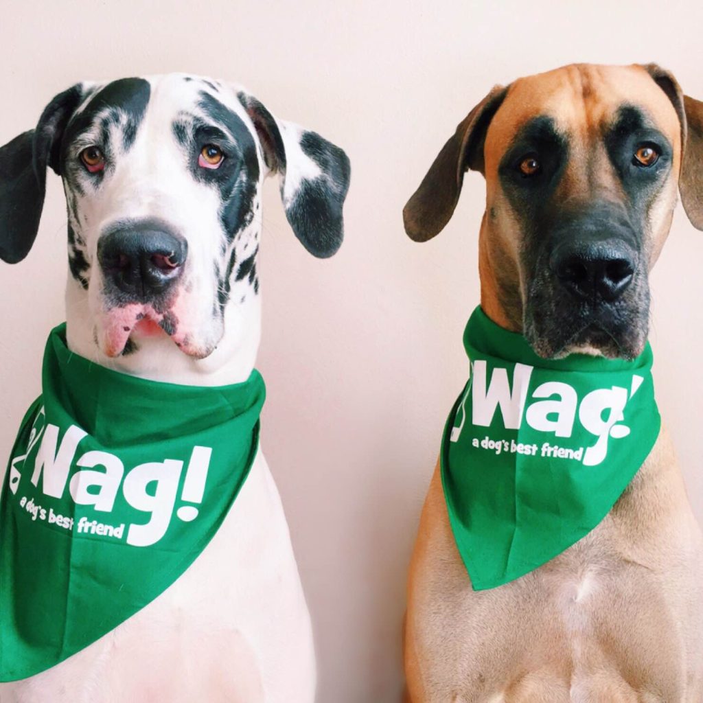 Walk with Wag in the Pet Tech Revolution IPO Edge