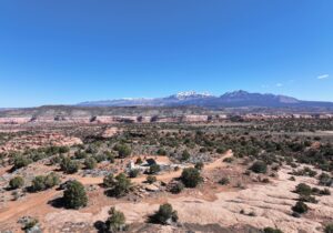 From Oman to Utah: When It RAINs, It Pours for Investors